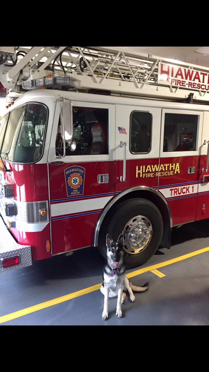 My niece is training to be a firehouse dog 😭😍💜