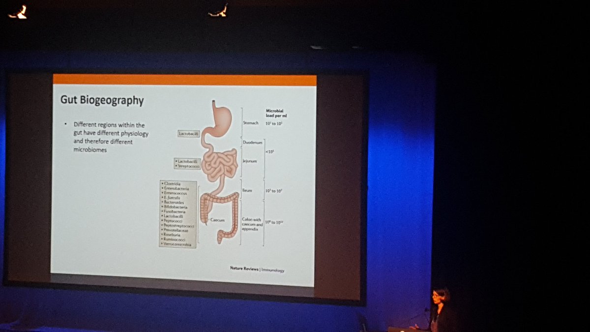 tuck_caroline's tweet photo. Dr Erin Shanahan: #microbiome varies in different regions of the gut. Few studies of the microbiome in the small intestine #FalkFoundation https://t.co/9r9VIjmrUV