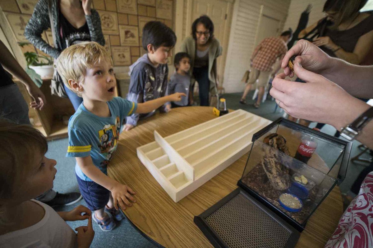 Take your kids to these 23 museums in Southern California for family fun this summer dlvr.it/PBVgG3