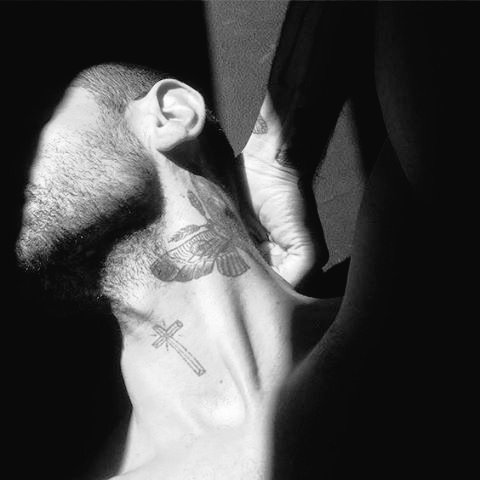 ppreckless's tweet image. 