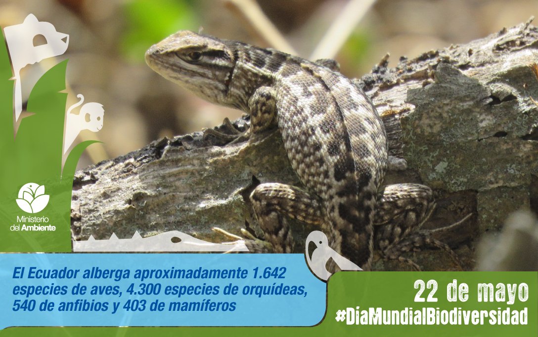 Somos un país megabiodiverso. #DíaMundialBiodiversidad