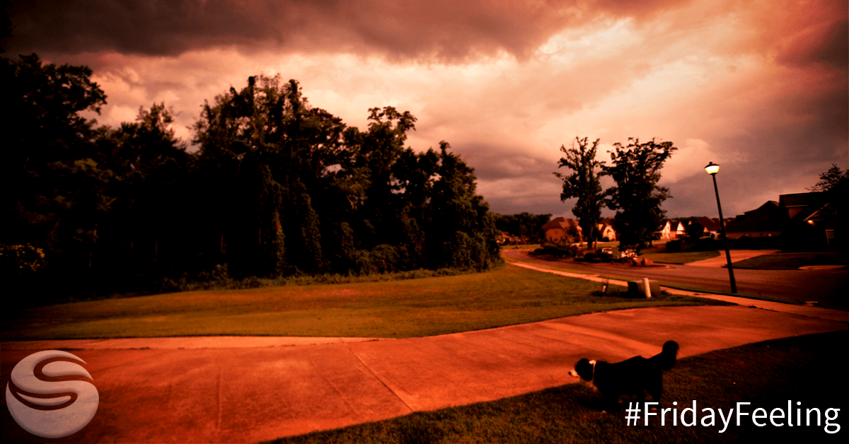 SigaoStudios's tweet image. Finishing up another productive week making #HappyDevelopers and #CodeThatMatters with @BridgingApps. #FridayFeeling #TimeForTheWeekend