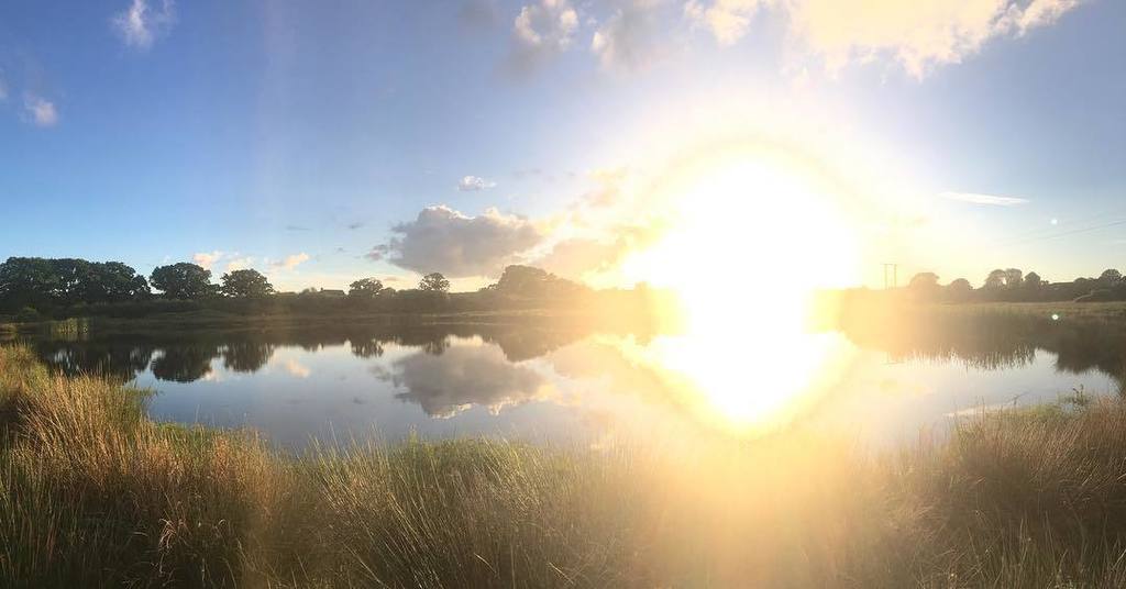 IVFBabyOnBoard's tweet photo. #home 😊 #sunset #somerset #swisbest #northpetherton #wilstock #wilstockvillage #photography #nofilter #nofilternee… https://t.co/8VZdtLCxbW https://t.co/lRycKdOJMY