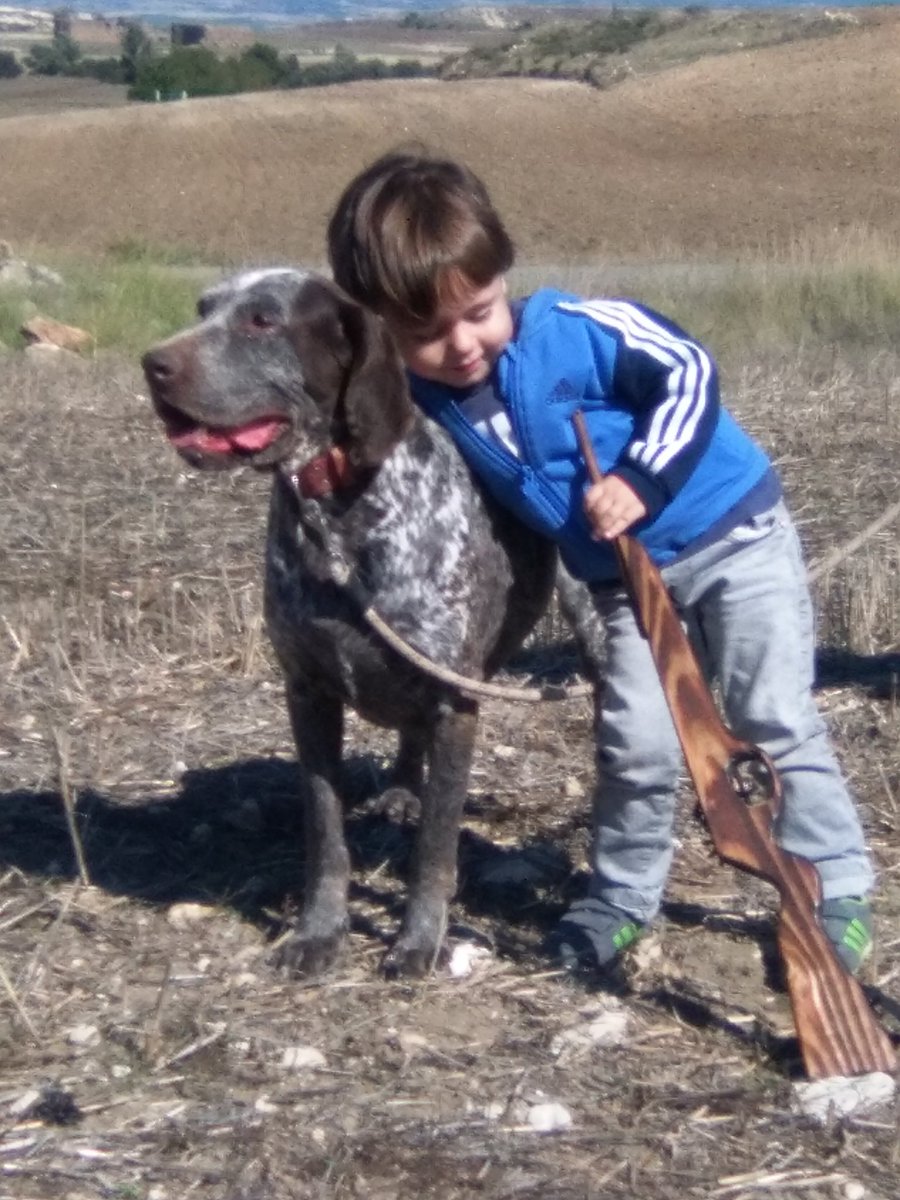 #MiPerroEsDeCaza <a href="/andaluciacaza/">Federación Andaluza de Caza</a>