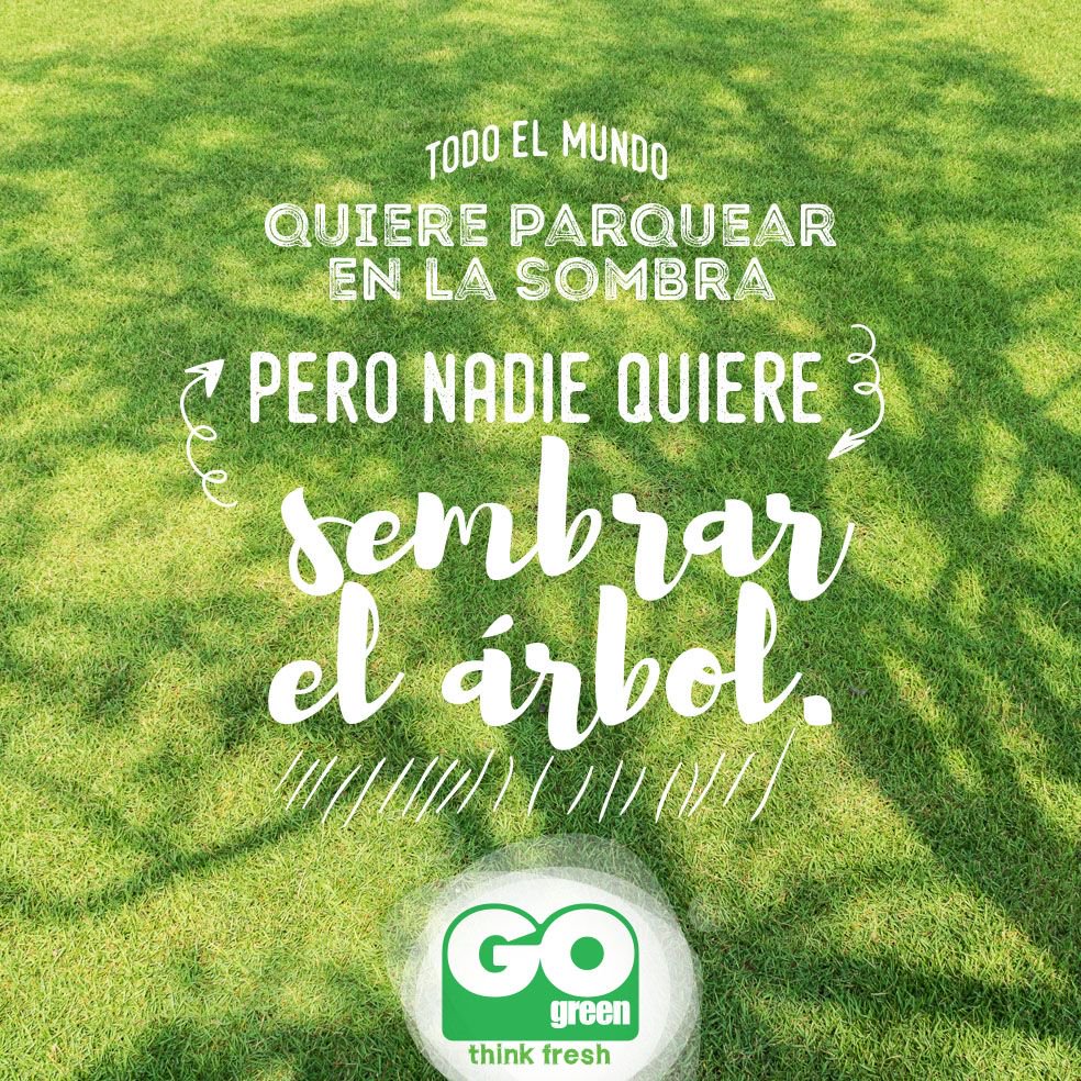 GoGreen_Col's tweet image. Pero sabemos que tú eres distinto, por eso eres un #GreenLover. ¡Gracias por ayudarnos a construir un mundo mejor!