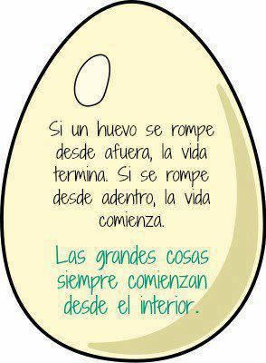 osophu's tweet photo. desde adentro https://t.co/OD7dVRAtPX