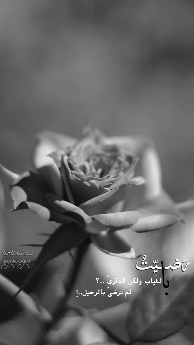 m5c__ tweet picture