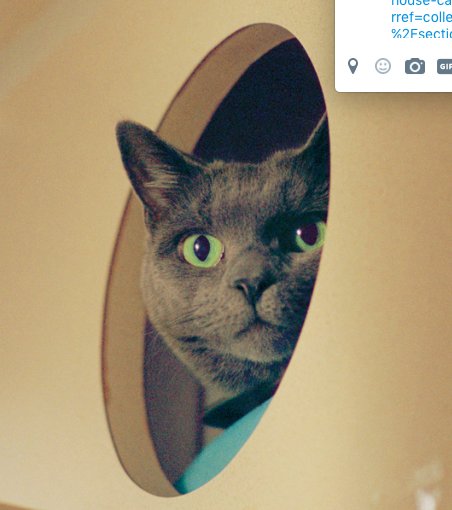 FromScratchPets's tweet image. The Mystery of the Wasting House-Cats
nytimes.com/2017/05/16/mag…