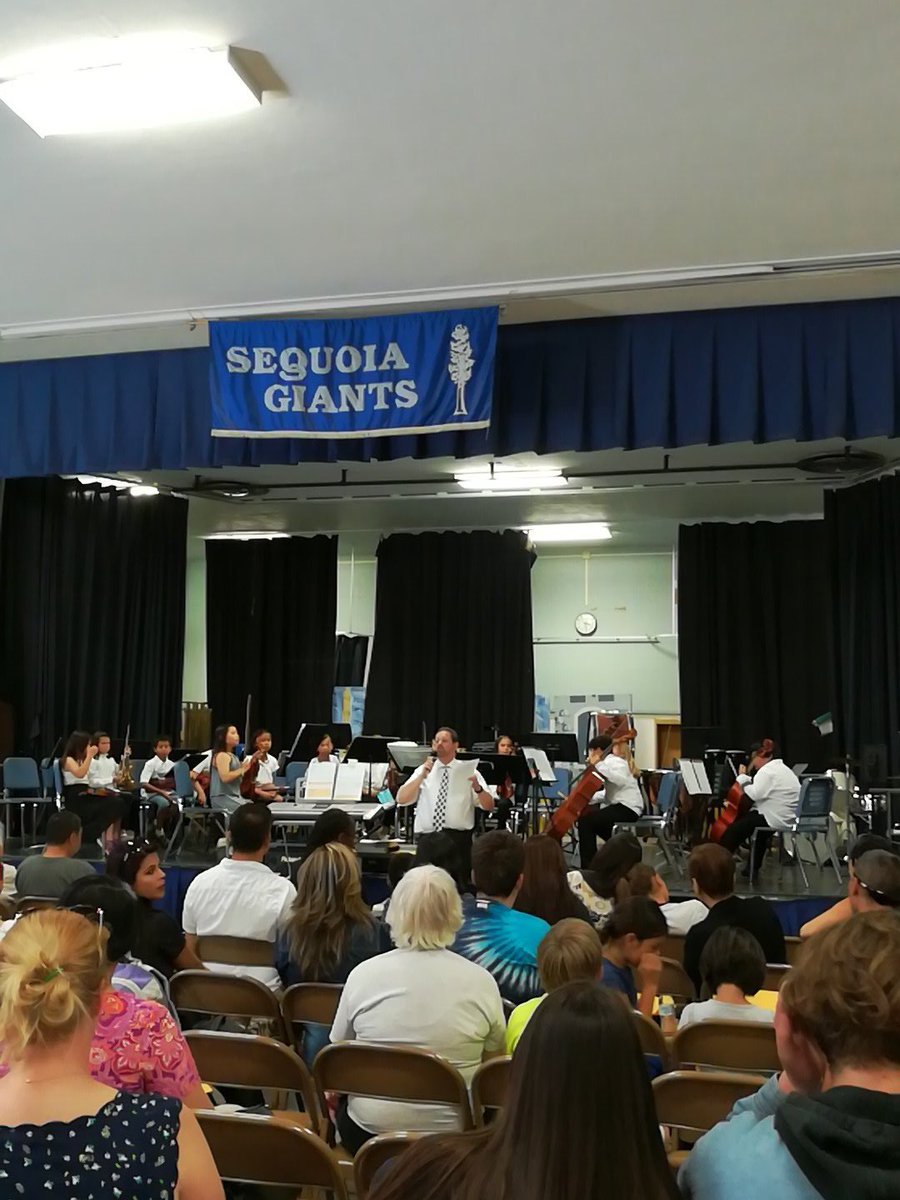 Sequoia Elementary School orchestra 1 is about to play " twinkle ABCs sheep" .  Great name by Mr. Michaels".