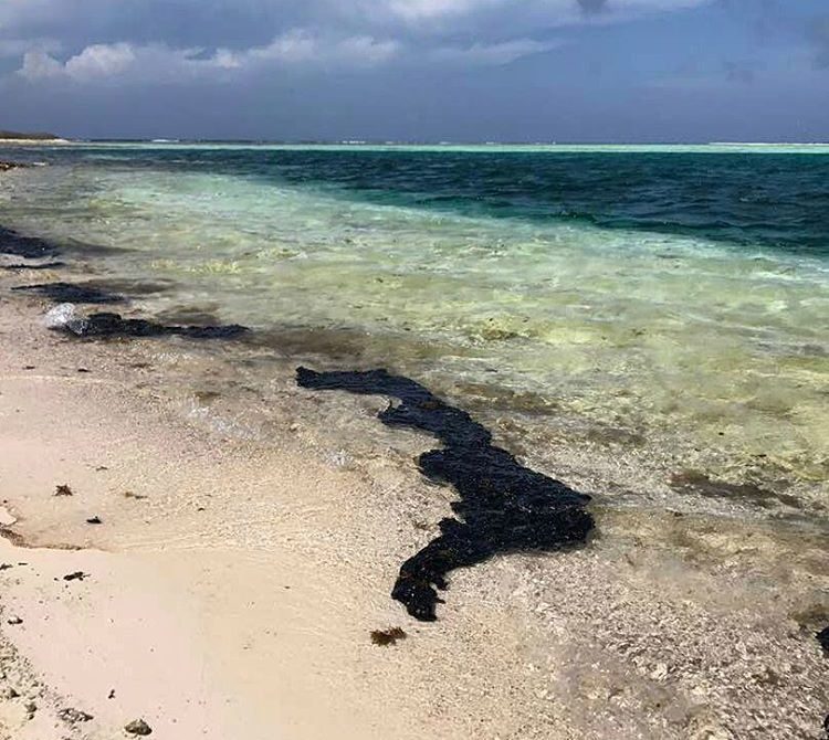 CaribeSurOrg's tweet photo. Comunicado de la Fundación Caribe Sur ante el derrame petrolero proveniente de Trinidad-Tobago y que afecta a Venezuela 19-5-2017 https://t.co/jIsb8I99tl