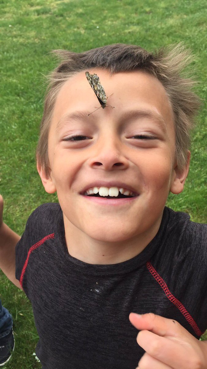 alyssadean53's tweet photo. We LOVED releasing our butterflies today! #lifecycles #someserioushandsonlearning #APSPride @elemz5 https://t.co/2e8HVvWstj