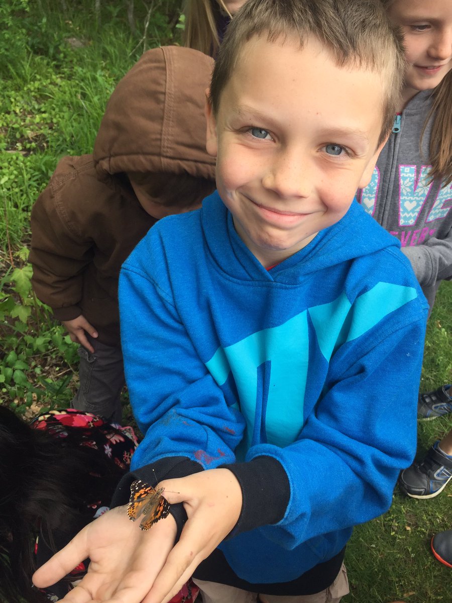 alyssadean53's tweet photo. We LOVED releasing our butterflies today! #lifecycles #someserioushandsonlearning #APSPride @elemz5 https://t.co/2e8HVvWstj