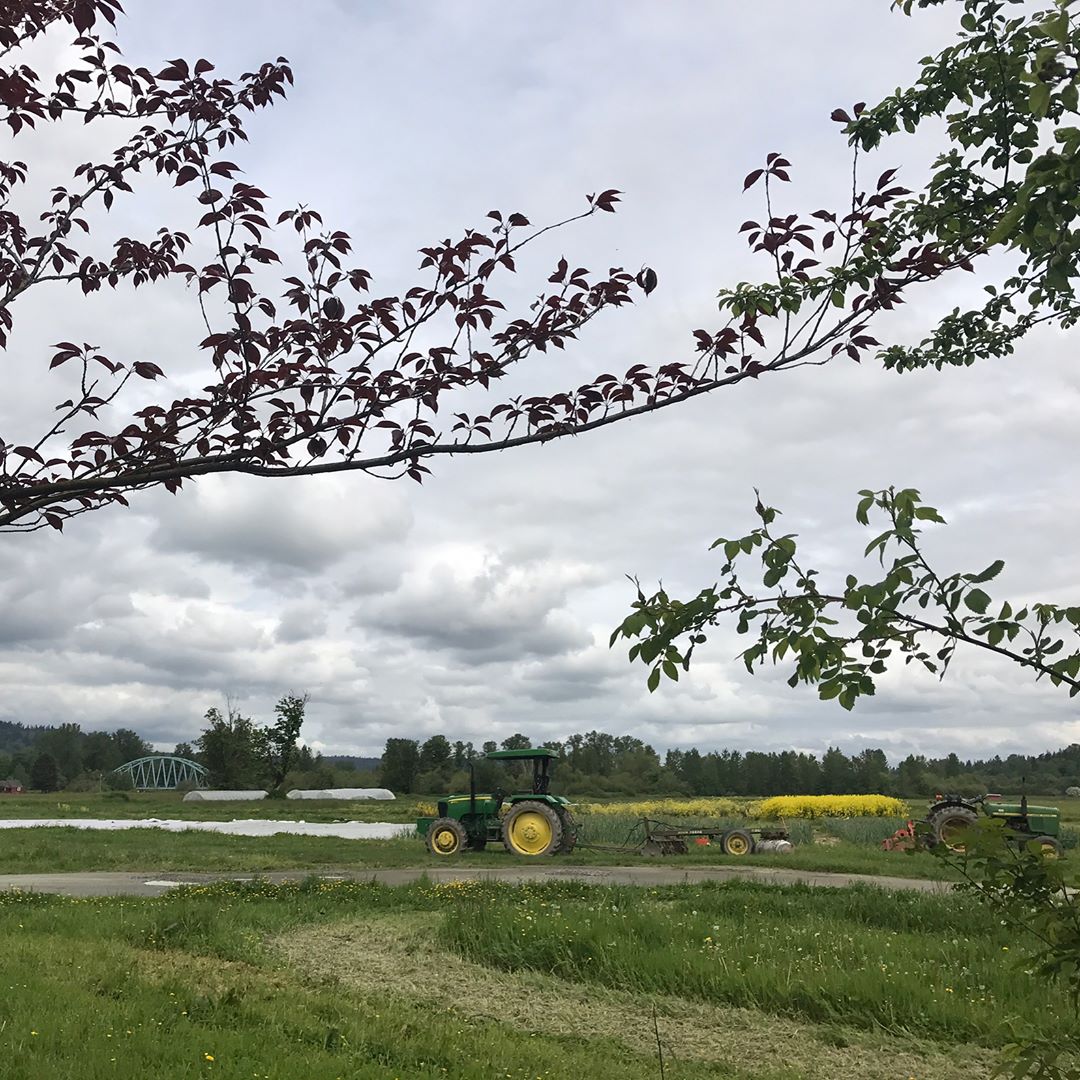 Quick visit to one of our favorite purveyors, <a href="/LocalRootsFarm/">Local Roots Farm</a>! instagram.com/p/BUP2TJFlewq