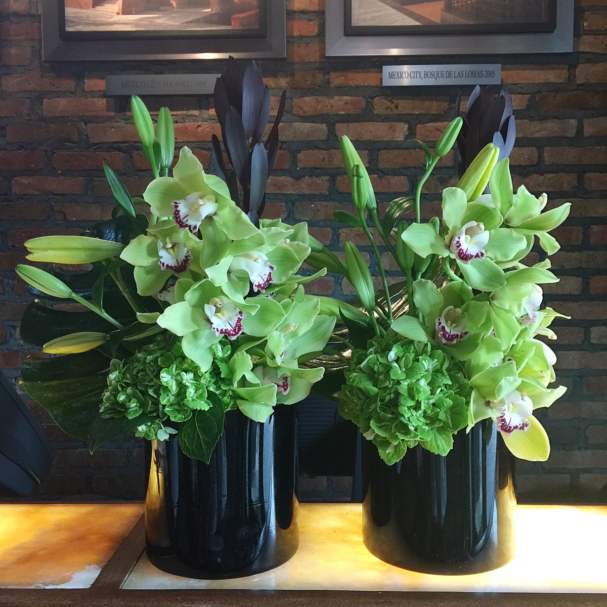 helloflowersmia's tweet photo. Una carga de energía para tu #Viernes! #Green #FloresCorporativas #Miami #SoHelloFlowers #HelloFlowersMiami #DiseñoFloral https://t.co/ZrSo6cmYKb