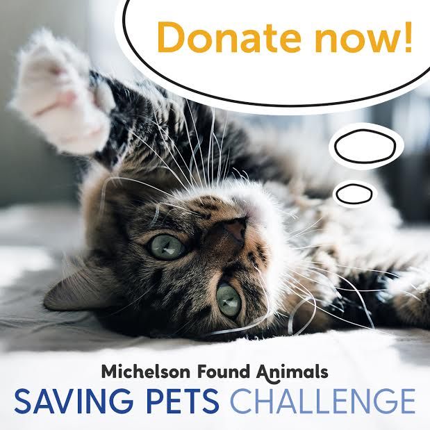 FoundAnimalsOrg's tweet photo. Our #SavingPetsChallenge has raised over $670,000 in the first few weeks! Donate & help save more pets!! https://t.co/9Anmw1zOAg https://t.co/dEOFArwOI0