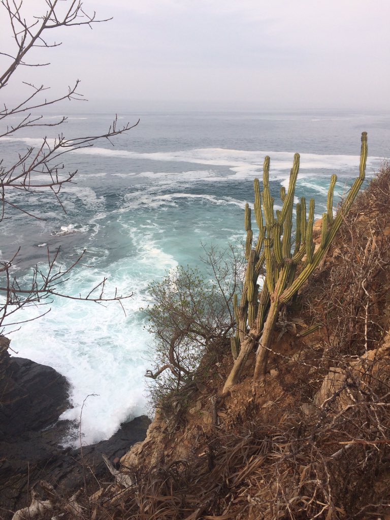 oliviereva's tweet photo. Si buscas un lugar tranquilo y precioso, la #PlayaSanAgustinillo #PuntaPlacer #Oaxaca es maravillosa #ViajemosTodosPorMexico https://t.co/H80oKQTPxt