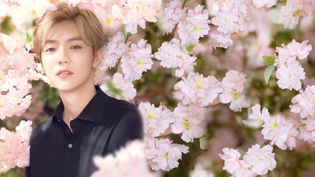 luhanpics's tweet photo. Flower boy 🌸 🌸 https://t.co/WfieRy4NPE