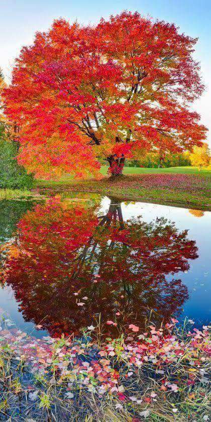 rajesh6363's tweet photo. Most people spend their time trying to find someone to sleep with, instead of finding someone worth waking up to
Happy weekend my World hugs https://t.co/6GS533St0T