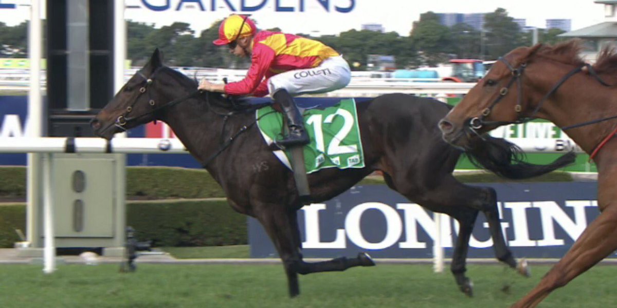 BBakerRacing's tweet photo. What a bonny mare she is! Bonny O'reilly takes her winning record to 6 from 8 starts. Watch out @racing_qld carnival #BjornsBest https://t.co/7HgDZXb0Ag