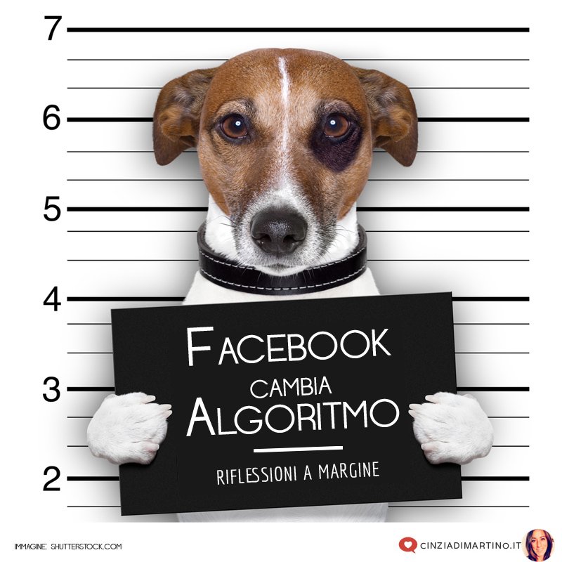 cinziadimartino's tweet photo. Facebook cambia algoritmo: riflessioni a margine  https://t.co/9vSXzMHXmA https://t.co/c5580nMToI