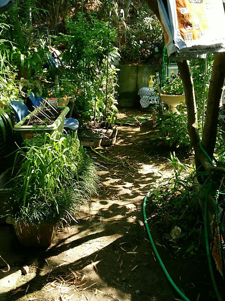 0108Hisato's tweet photo. @HuntConsultancy @RRD_Davao @SCPh_PIO @VP @AbeShinzo &i need to do barricade W/steels my bloomyイチヅク🌴tree so it would not be destroy like📷#4that was ruined lastyear byDfuckingYakuzaTROOPs寝る前👍📡ネ! https://t.co/AAvEIGX0Ye