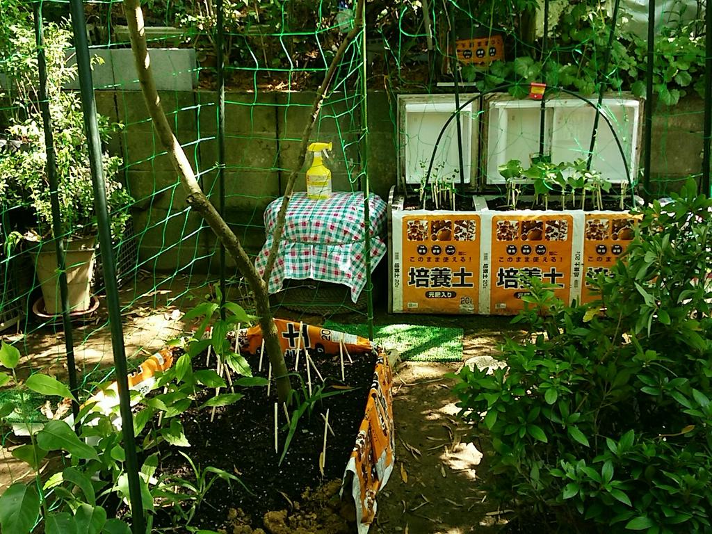 0108Hisato's tweet photo. @HuntConsultancy @RRD_Davao @SCPh_PIO @VP @AbeShinzo &i need to do barricade W/steels my bloomyイチヅク🌴tree so it would not be destroy like📷#4that was ruined lastyear byDfuckingYakuzaTROOPs寝る前👍📡ネ! https://t.co/AAvEIGX0Ye