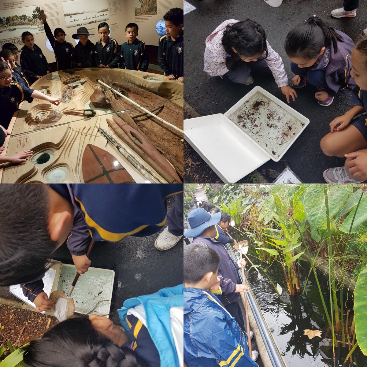 STVashfield's tweet photo. A fantastic day for Stage 2 @RBGSydney learning &amp; discovering new things 🕷🐞🐝 #minibeasts #excursion https://t.co/BUOTbvcqaH
