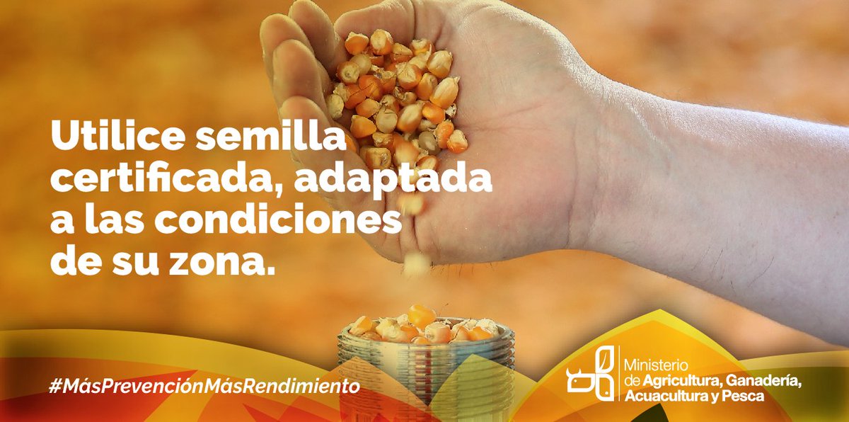 AgroEcuatoriano's tweet photo. Aumente el rendimiento de su próxima cosecha y evite riesgos de plagas siguiendo estos consejos. #MásPrevenciónMásRendimiento https://t.co/pjMgV9badD