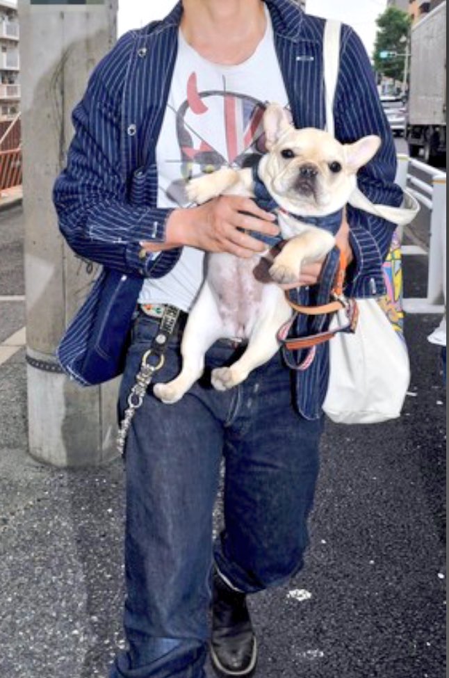 やっぱり lucien pellat-finet だった #ルシアンペラフィネ 相変わらず