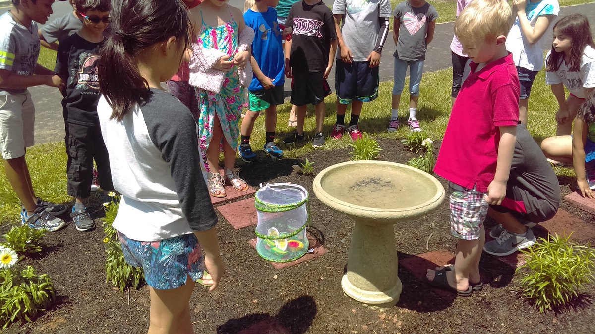 Releasing our butterflies! <a href="/MadisonsTrust16/">Madison's Trust E.S.</a>