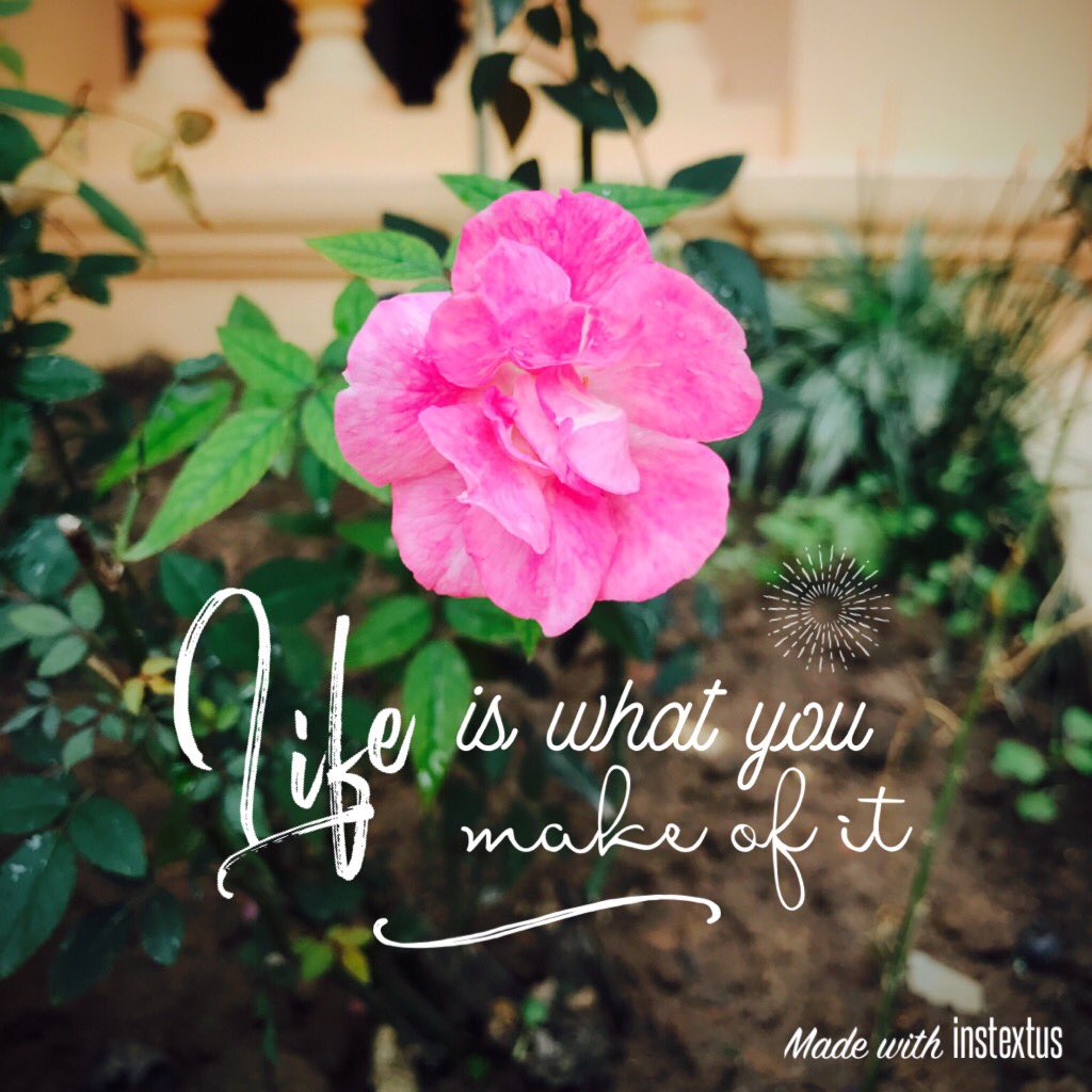 InstextUs's tweet photo. https://t.co/r19uaS8Uxh