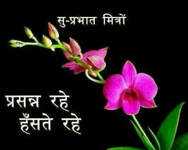 imsumitthakur1's tweet photo. #_good_morning_friends https://t.co/C5A3bcArPh