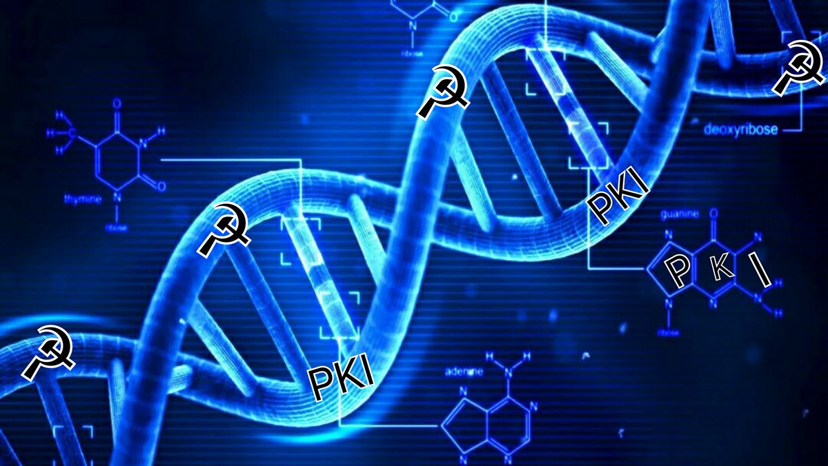 adelide_wibowo's tweet photo. @Takviri Lagian apa hubungannya PKI ama DNA?Mungkin apa sprti ini bntuknya bang @Takviri 😂 https://t.co/QJ6ZaY9Htg