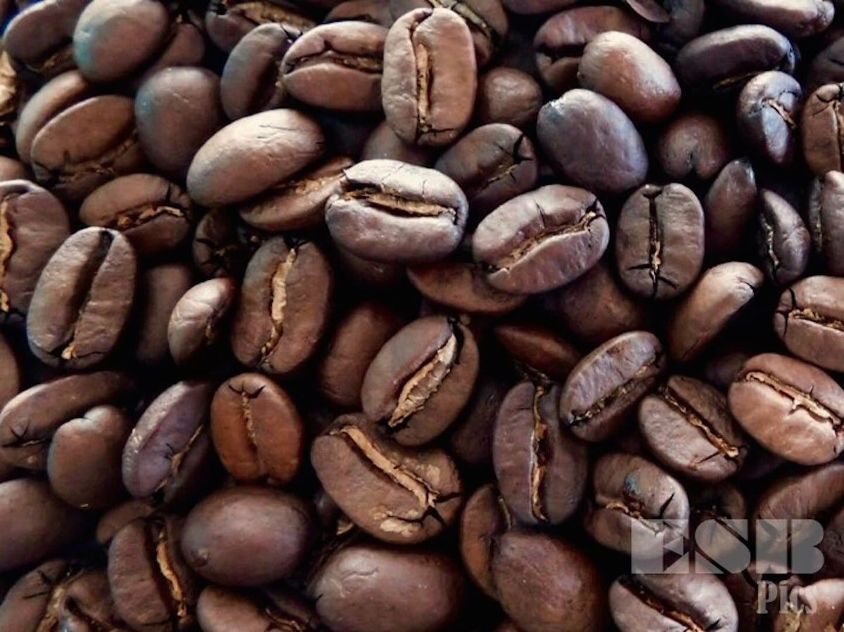csotito's tweet photo. El café ayuda a quien duerme poco y sueña mucho #life #coffee #chill Follow on Facebook @esbpics https://t.co/Fp1DaxF9LG