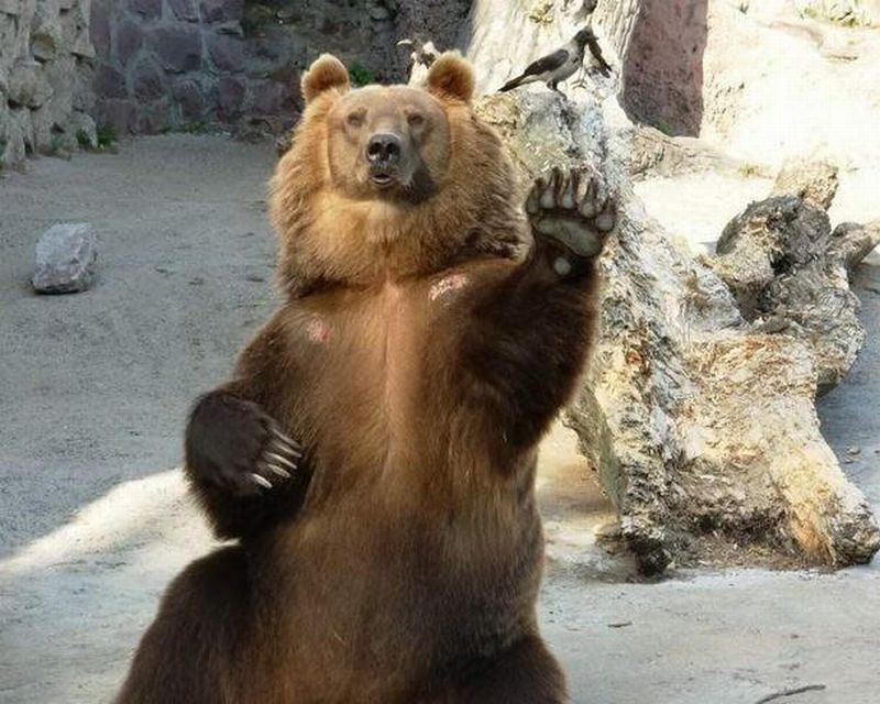 Ceedro's tweet photo. Profile Pic vs. Daily Selfie vs. Real Life. #BearcatFish https://t.co/ok2820sR9h