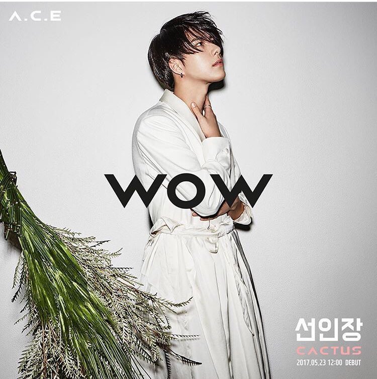 WowitsHun's tweet photo. IM SO HFJEJFJKR the album is so soft but THE TEASER PICS ARE SO EDGY omfg they're the cactus they're sharp and they attack you https://t.co/DHjZM6F2iI