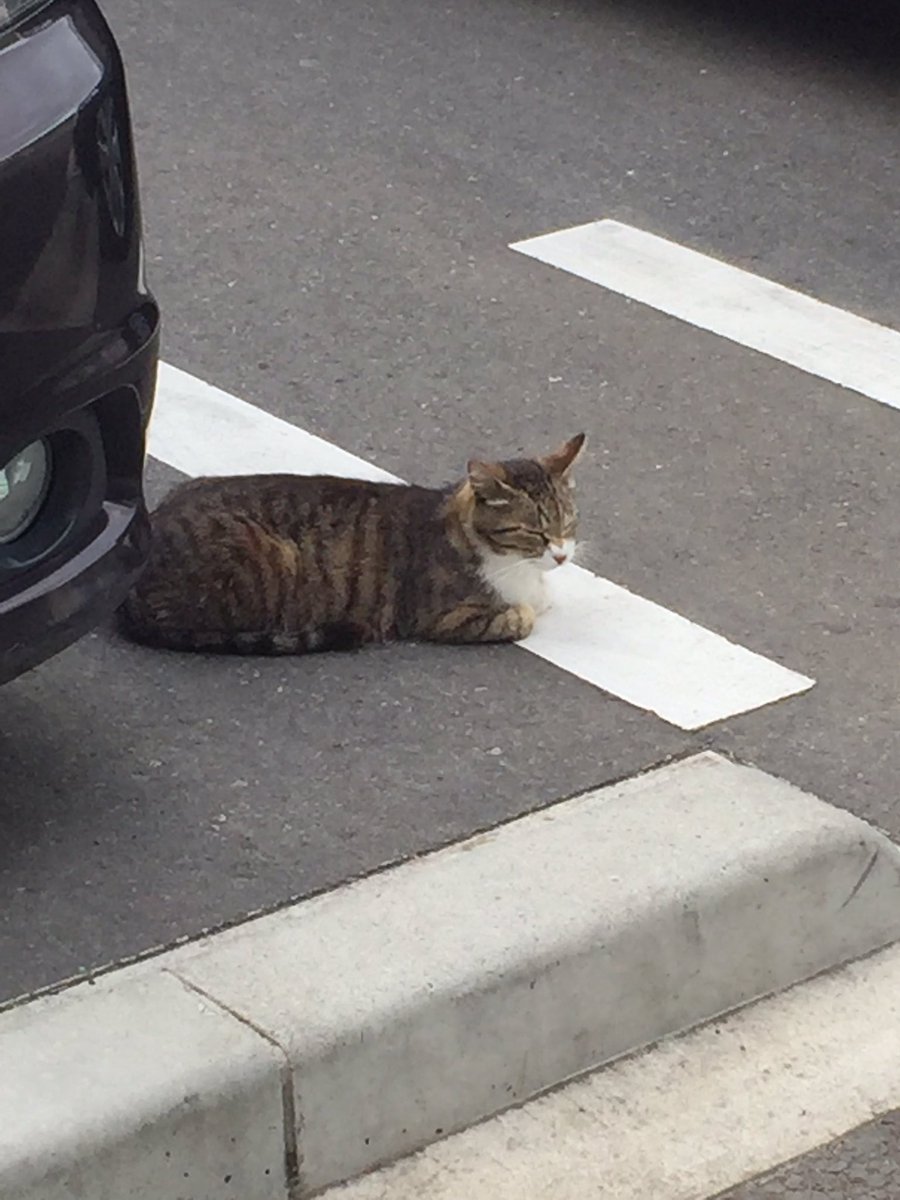 時間がゆっくり流れとる