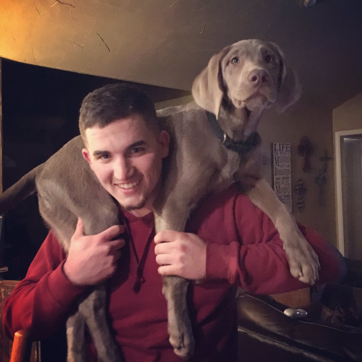 Kade_McMillin's tweet photo. My best friend went missin today. If anyone sees him around or knows where he might be please contact me. $200 reward. RT to help me please. https://t.co/o18oeR8Dw7