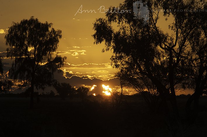 PhotoAnnBritton's tweet photo. #sunset #OutbackStyle
#waddi
#gum
#minmincountry
round of applause for our sun doing an awesome #curtaincall on another day
#asitisMyOutback https://t.co/NomyiGEETI