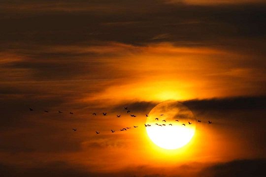 EligioDS's tweet photo. @kendulin @LALPUSHP @Stallion_Team @patyie66 @purposefulact @salvadorsanvil1 @exploradoryanez @melbardisi1 @Sunny2028 @mariezr04 @esbores https://t.co/gHsU0NMW5t