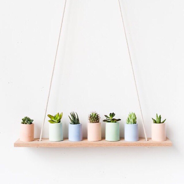 abrielc98's tweet photo. Pastels https://t.co/0DMy5SOwil