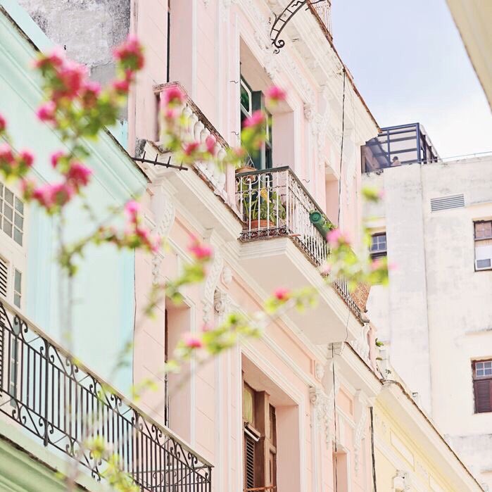 abrielc98's tweet photo. Pastels https://t.co/0DMy5SOwil