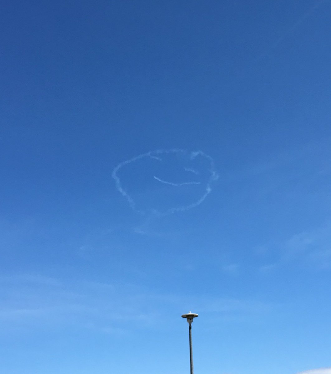 meganrouault's tweet photo. can someone please explain how i saw this today https://t.co/DnF6Ti26pt