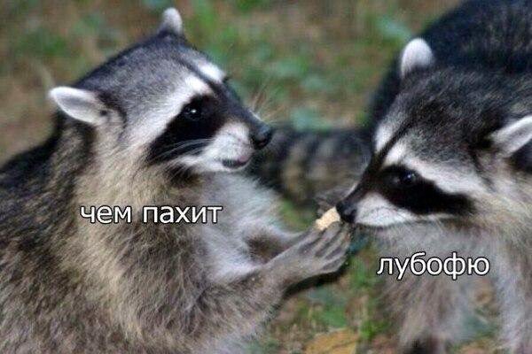 😊