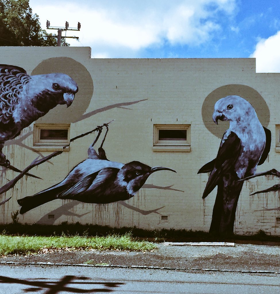 #Mural #Toowoomba #Australia #Streetart #firstcoat
