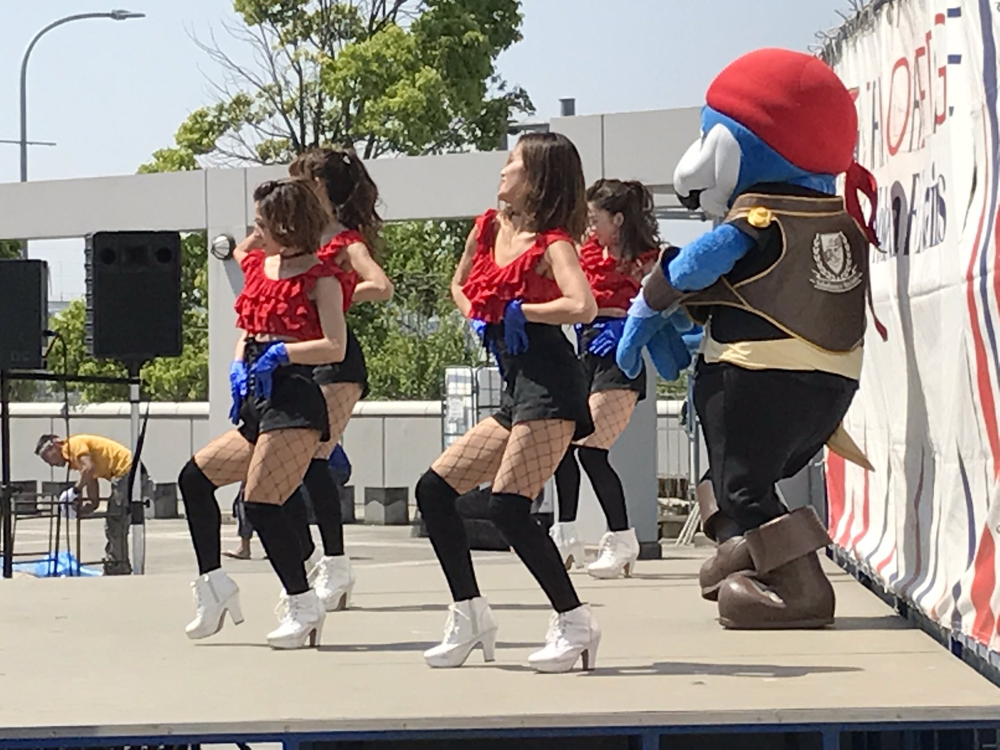 中古通販サイトです J13se ワルノスクイーン 直筆サインカード Saly 横浜fマリノス Jカード Daisenkaku Or Jp