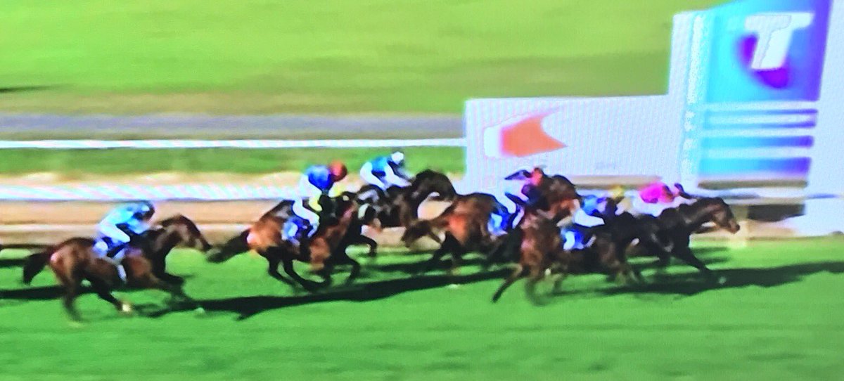 EquianoClub's tweet photo. #SMASHTHEGONG 4G Equiano x Class Prevails (Delago Brom) salutes at Wodonga VIC for Barry Goodwin &amp; @jack_hill25 @newsellspark https://t.co/p3DfMS0YWy