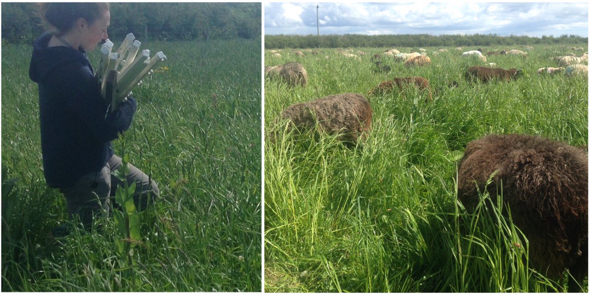 Village Farm Organics tweet media