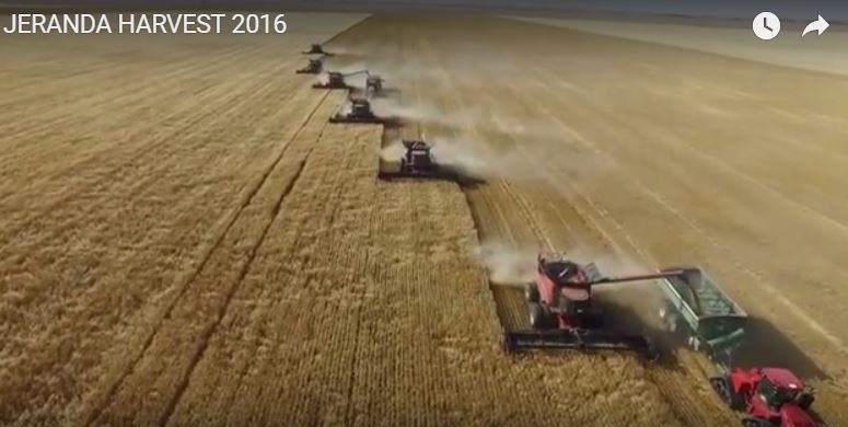 FarmsPrairies's tweet photo. Farm Video of the Week:
Impressive harvest video from Jeranda Farms
Watch
https://t.co/sRexRt3PMH https://t.co/wJAtc5jIYJ
