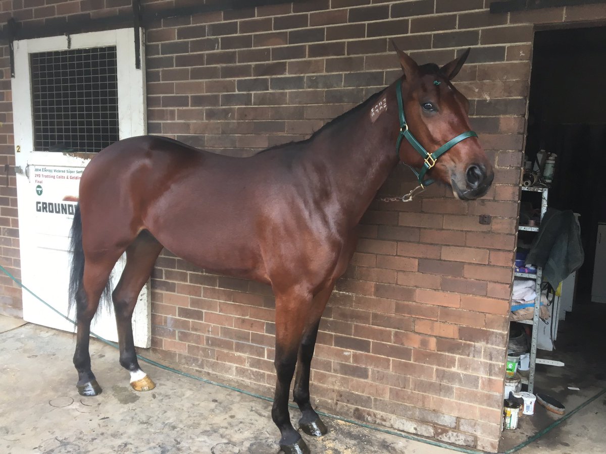 Group 1 night for Hugo 🙏🏼<a href="/swdyer78/">Scott Dyer</a>